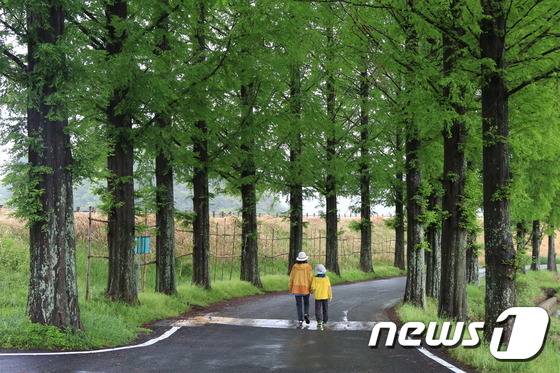 장흥의 모습. 서은석 작가© News1