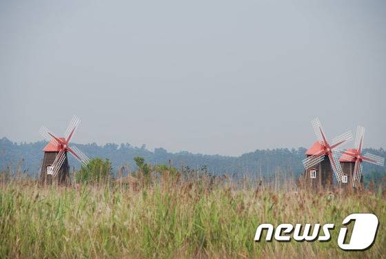 소래길. 이주영 작가 © News1