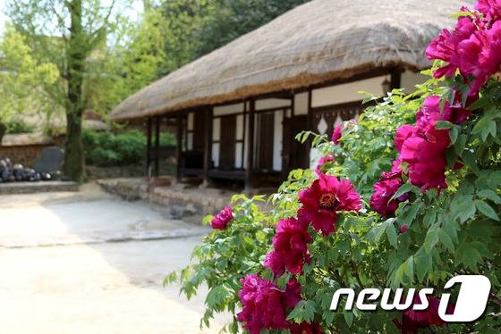 강진 영랑 생가의 모습. 김준연 작가 © News1