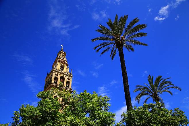 스페인 코르도바 주의 주도 코르도바시.