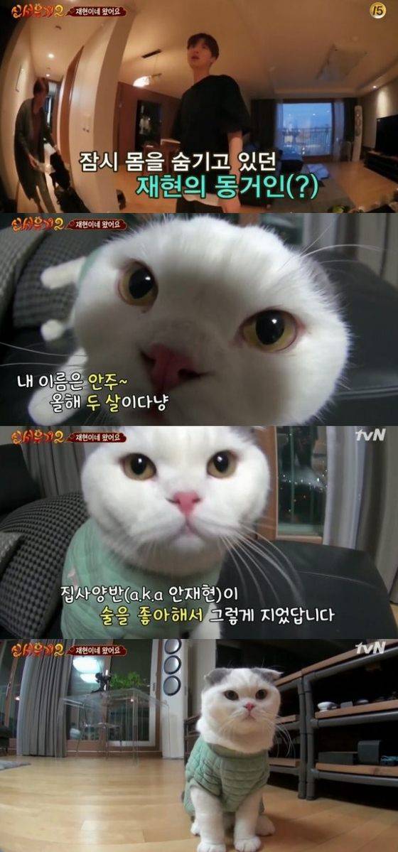 안재현출처:/ TVN 캡쳐