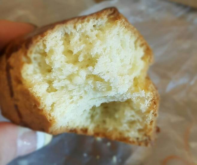 ▲ 본누벨 플레인 스콘의 단면.