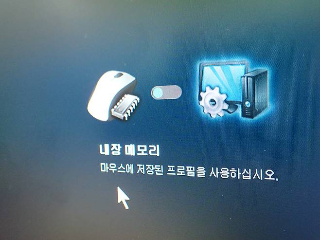 내장 메모리