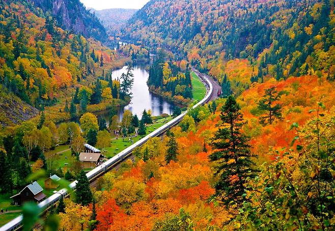 아가와 협곡 관광 열차는 단풍이 물든 가을에 타야 제맛이다.