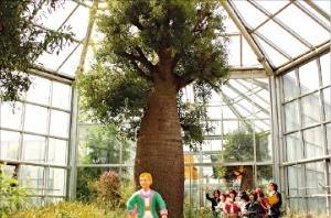 한택식물원 호주온실