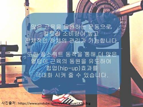 엉덩이와 다리라인을 위한 운동법