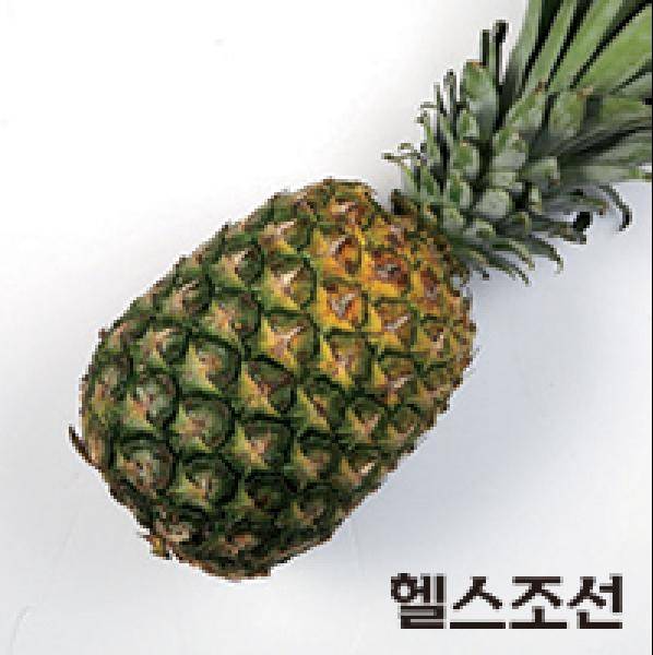 [헬스조선]