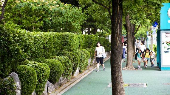 나무 그늘과 우레탄 포장으로 걷기 좋은 인도.