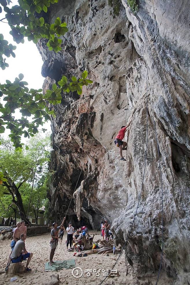 세계 모험가들이 모여드는 라이레 프라낭 해변의 석회암 절벽.