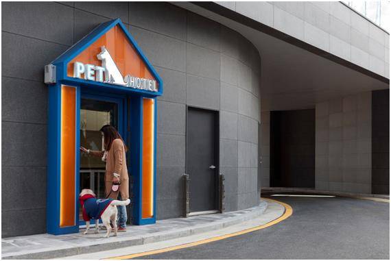 리젠트마린더블루 호텔은 지난 3월부터 반려동물을 위한 펫호텔을 별도로 운영하고 있다. 리젠트더마린블루 제공