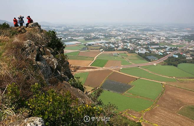 바굼지오름 정상에서 바라본 대정들판.