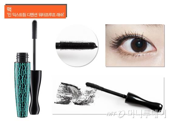 /사진=임성균 기자, 마아라 기자