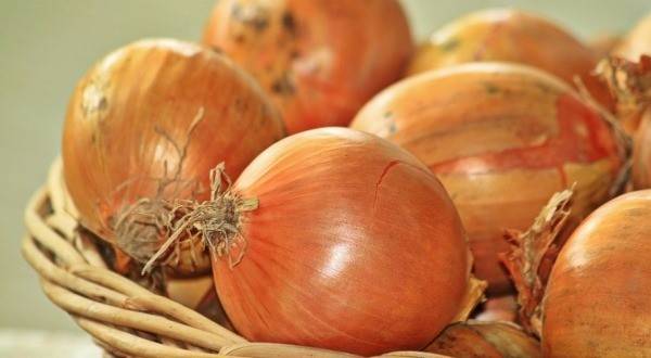 사진출처/ 픽사베이