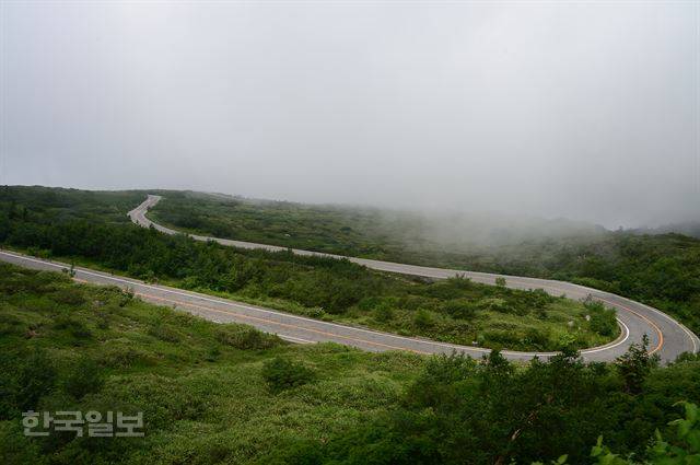 고원버스가 지나는 도로.