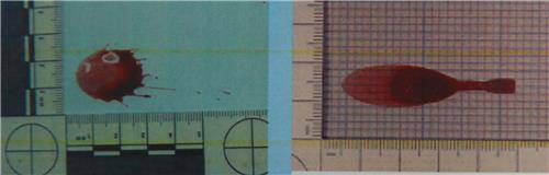 혈흔의 방향성 분석 [서울지방경찰청 제공]