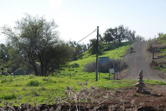 나의 밭은 어디일까. 예수의 씨앗을 어떻게 품는가에 따라 나의 밭이 달라진다. 길바닥이 될 수도, 돌밭이 될 수도, 좋은 밭이 될 수도 있다. 갈릴리 일대에서 볼 수 있는 흔한 풍경이다. 예수도 저런 풍경을 배경으로 비유를 들었을 터이다.