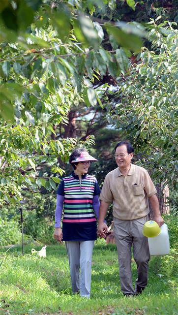 이경수(오른쪽)·김영선씨 부부가 자신들이 운영하는 강원도 양양 ‘솔랜드 패밀리’ 농장에서 하루 일과를 마친 뒤 다정하게 손을 잡고 집으로 돌아오고 있다.강성남 선임기자 snk@seoul.co.kr