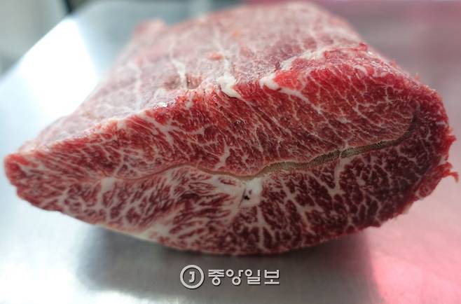 부채살(일명 낙엽살)