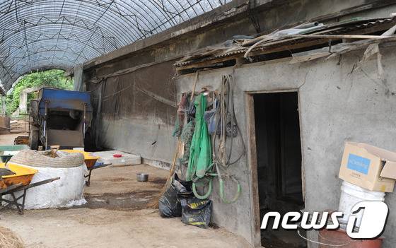 19년 동안 축사에서 무임금 노역한 지적 장애인이 살던 쪽방. (우측 문) © News1 김용빈 기자
