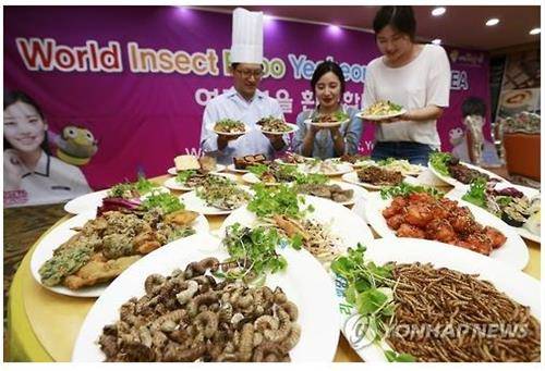 곤충으로 만든 요리 [연합뉴스 자료사진]