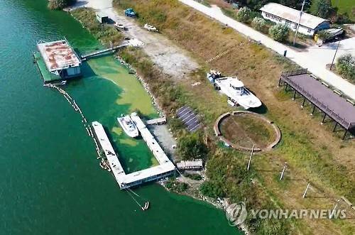 대전충남녹색연합이 지난달 24일 금강 웅포대교 인근을 촬영한 사진. 당시 남조류세포수가 증가, 금강이 녹조로 덮여 있다. [대전충남녹색연합 제공=연합뉴스]