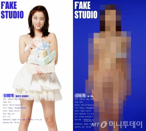 국내 최대 음란사이트 소라넷 등 온라인에 올라온 여성 연예인의 얼굴을 합성한 음란사진/사진제공=서울지방경찰청 사이버안전과