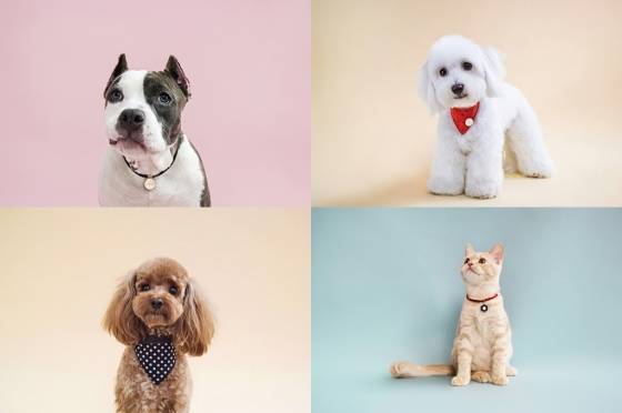 /사진제공=제이에스티나 레드