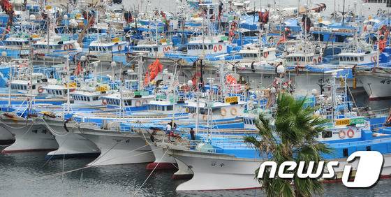 제18호 태풍 차바(Chaba)가 북상중인 4일 오전 제주 서귀포항에 수백여척의 어선들이 피항해 있다. 2016.10.4/뉴스1 © News1 이석형 기자