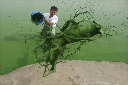 김종술 시민기자. (사진=오마이뉴스 권우성 기자 제공)