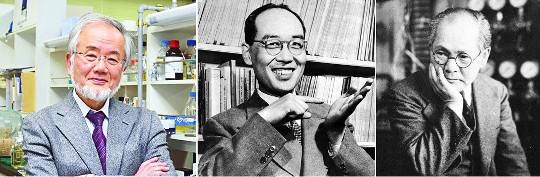 2016년 노벨 생리의학상 수상자 오스미 요시노리, 일본 최초의 노벨상 수상자 유카와 히데키, 일본 현대 물리학의 아버지 니시나 요시오.(왼쪽부터)