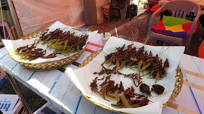 판매 중인 메뚜기와 개구리 튀김.