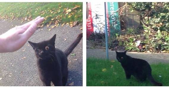 [사진 Imgur 캡처]