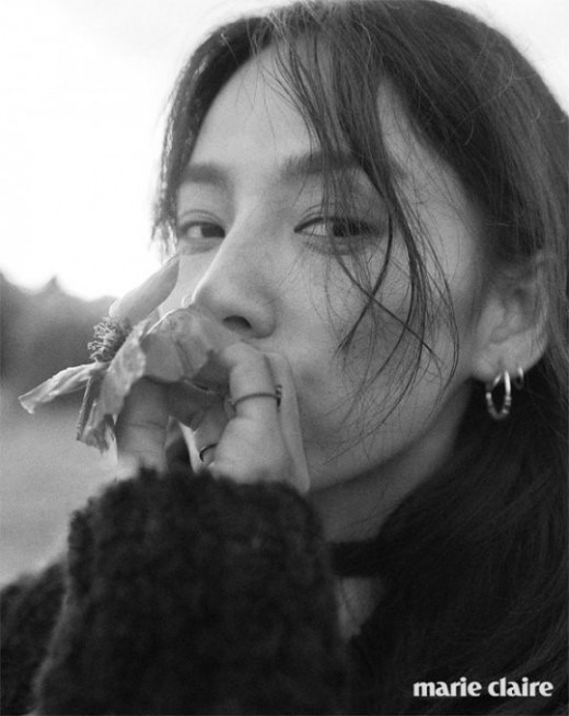 이효리