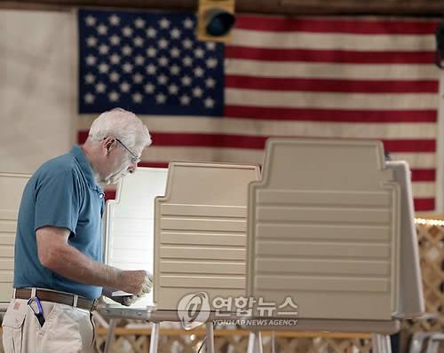 미국 노스캐롤라이나 주에서 2010년 6월에 투표하는 모습 [AP=연합뉴스 자료사진]