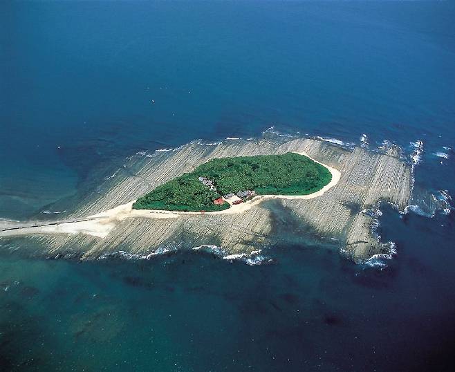 아오시마 도깨비 빨래판.