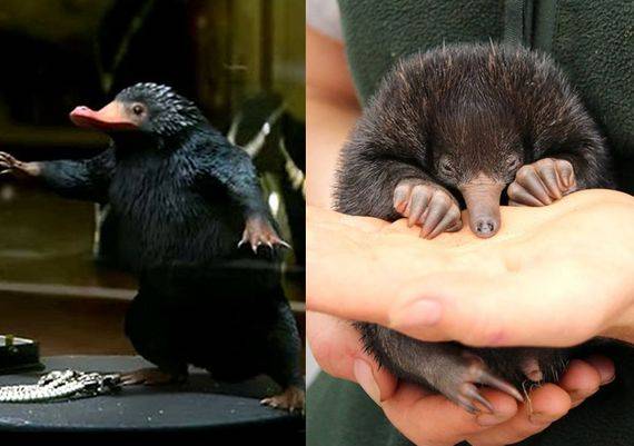 [사진 미러 캡처]