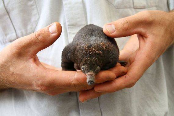 [사진 미러 캡처]