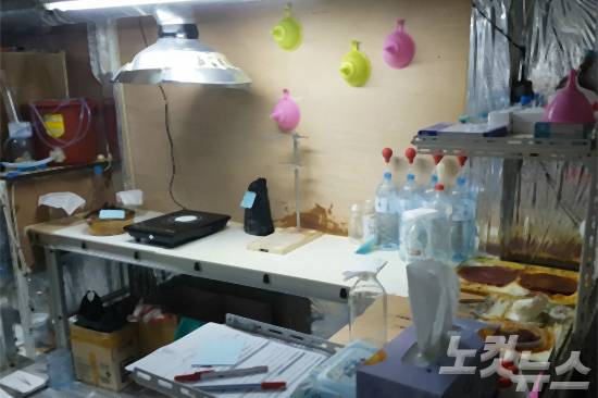 (사진=서울지방경찰청 제공영상 캡처)