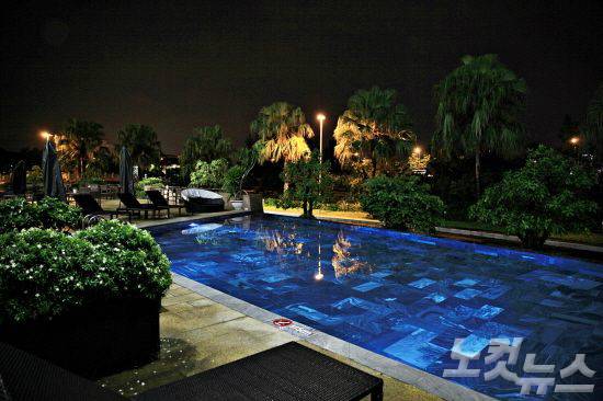 우거진 야자수 사이에 자리한 야외 풀장에서 로맨틱한 시간을 보낼 수 있다.(사진=스테이앤모어 제공)
