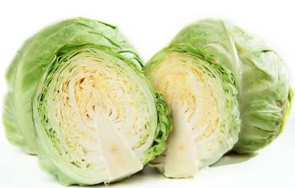 양배추