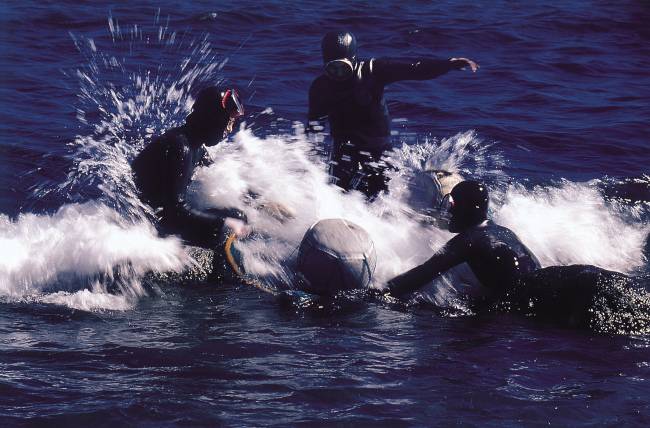 [사진=물질 끝내고 수면위에 박차고 올라오는 해녀]