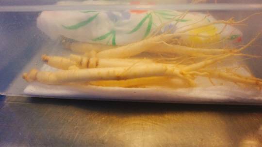 실제 생 인삼을 즉석해서 튀겨준다.(인삼이 마를까봐 젖은 수건에 감싸놓은 저 디테일함 보이는가)/정가람기자