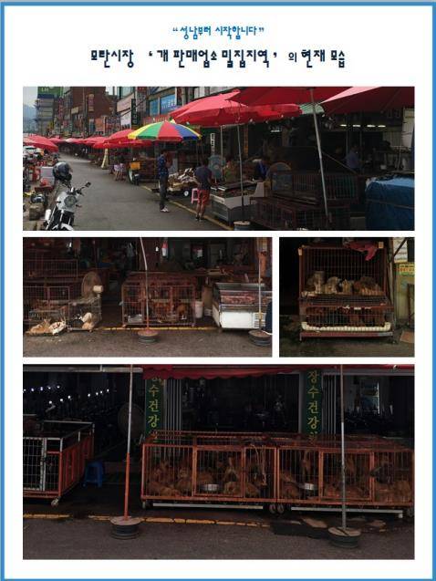 [성남시 제공 자료사진]