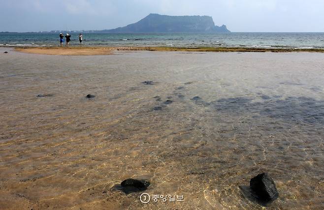 섭지코지 어귀 신양해수욕장에서 바라본 성산일출봉.