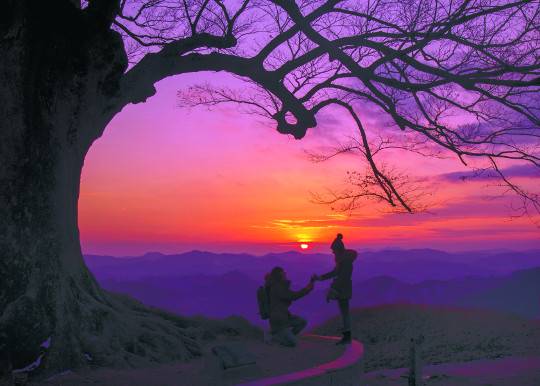 충남 부여군 임천면 성흥산성 남문지에 자리한 하트 모양의 '사랑 나무' 아래에서 연인이 사랑을 약속하고 있다. 노을로 붉게 물든 하늘이 그림같은 풍광을 펼쳐놓고 있다.