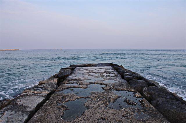 강릉 주문진 영진해변의 방사제. 이곳에서 실제로 둘의 만남이 촬영됐다. 조두현 기자