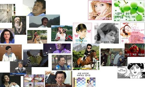 인터넷에 떠도는 다양한 짤방 이미지 (자료제공=이기원)