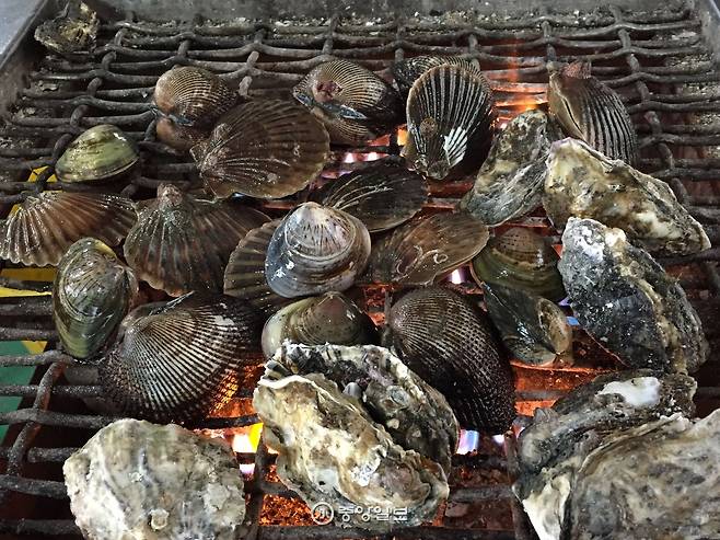 천북수산에서는 굴 외에도 가리비, 피조개 등 조개구이도 판다.