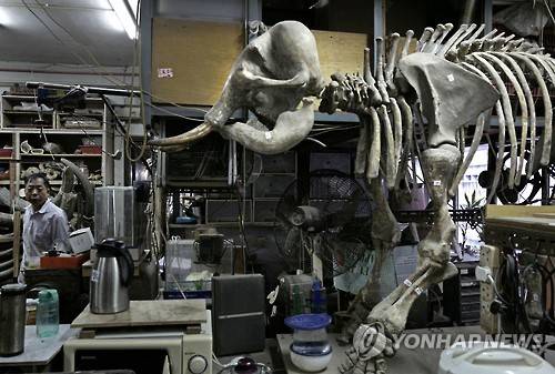 [AP=연합뉴스 자료사진]