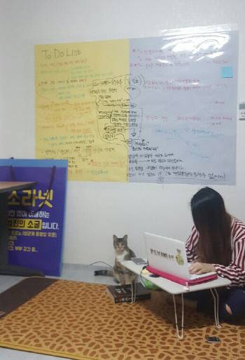 사무실에서 인터넷에 유통되는 성폭력 동영상을 모니터링하고 있는 ‘디지털성범죄 아웃(DSO)’의 하예나 대표.